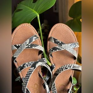 NWOT Circus by Sam Edelman CeeCee flat Sandals snake skin pattern Sz 8